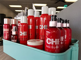 Salontastic Chi Products
